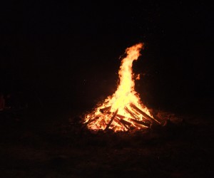dscf0367