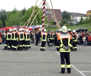 maibaum 2009