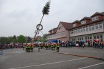 maibaum 2013