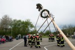 maibaum 2015   