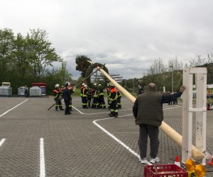 maibaum 2015