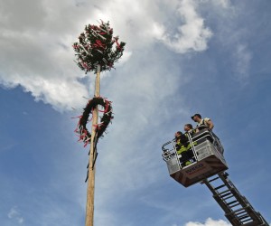 maibaum 300423