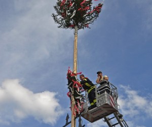 maibaum 300423